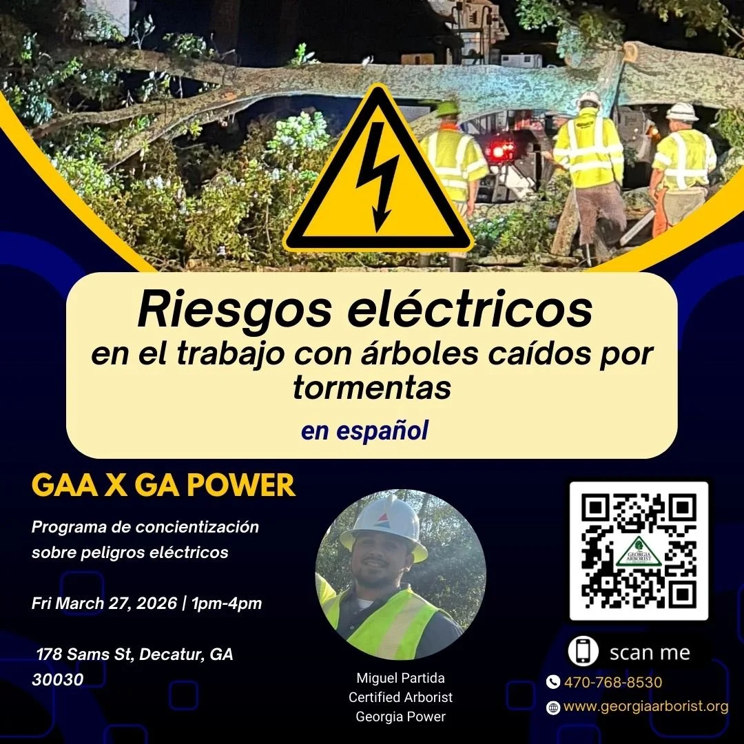 Riesgos eléctricos y concienciación al trabajar con árboles caídos por tormentas