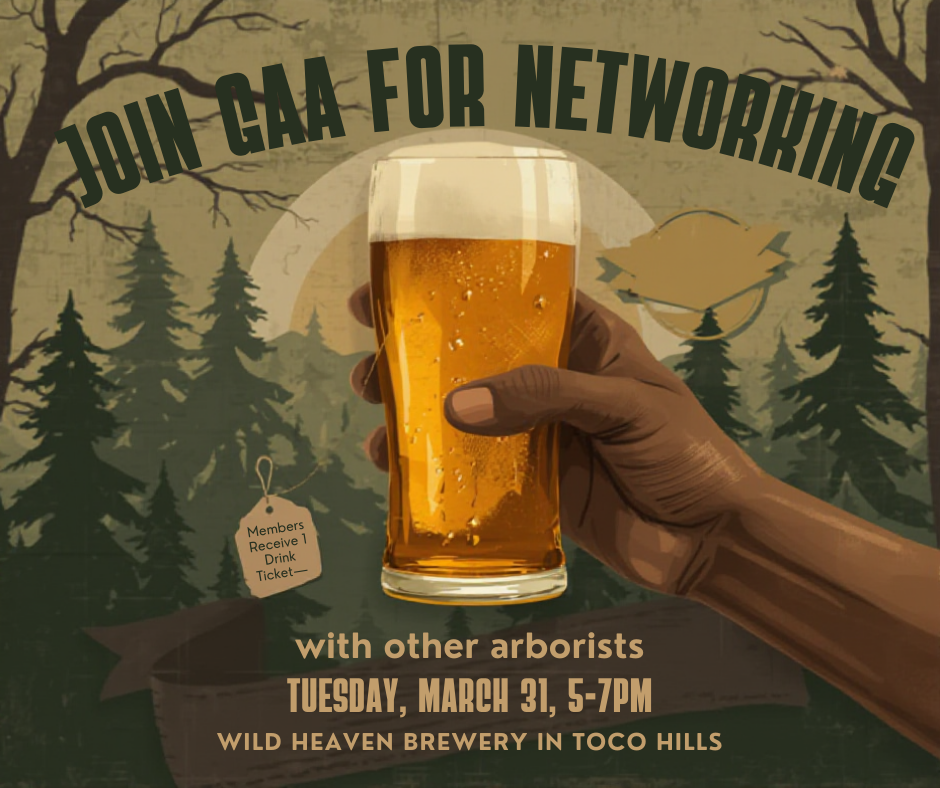 First Quarter GAA Networking&nbsp;