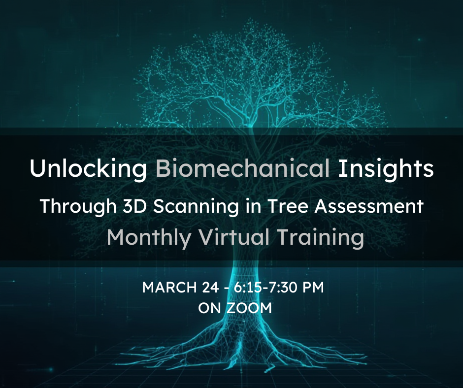 GAA Webinar: Unlocking Biomechanical Insights Through 3D Scanning