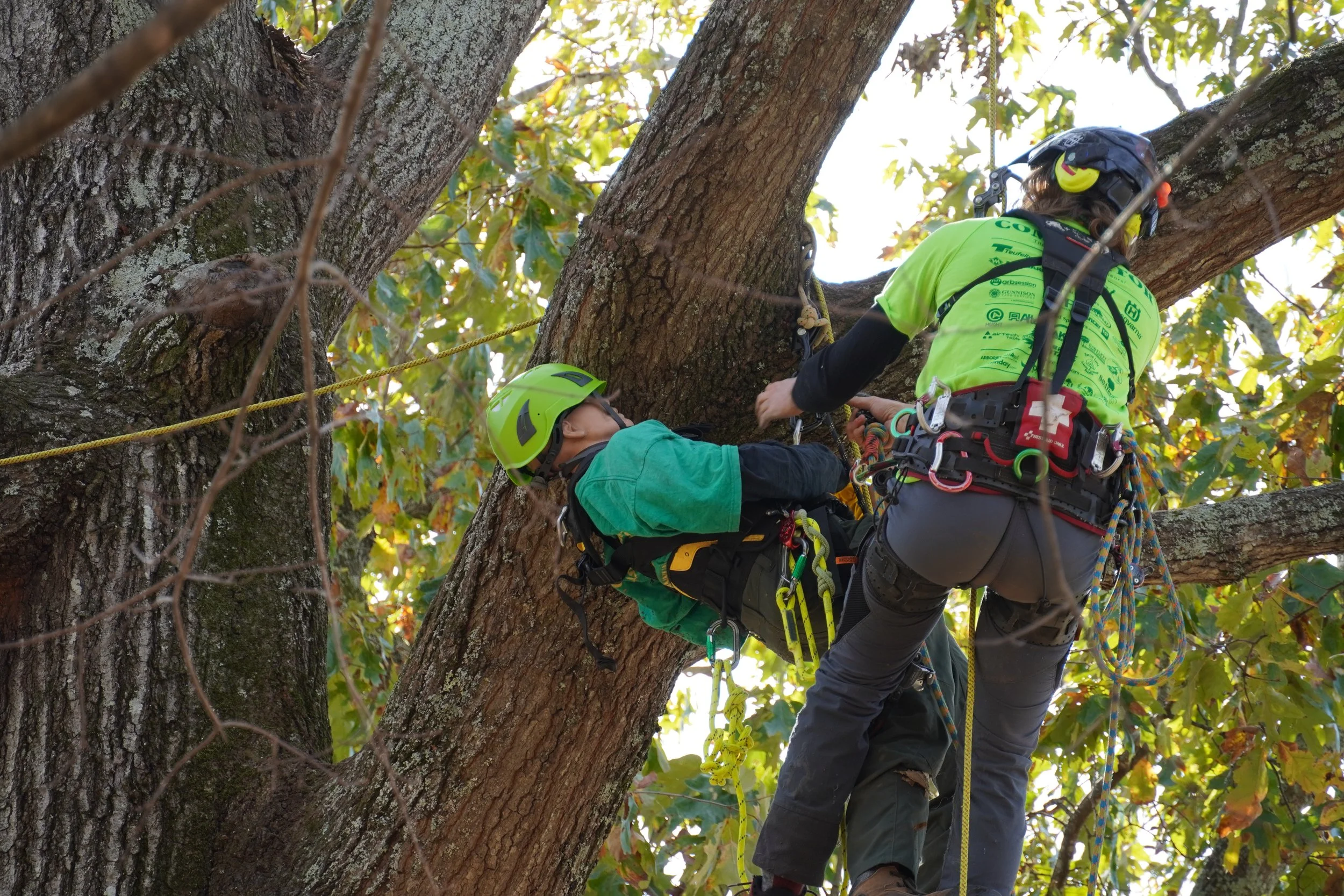 Aerial Rescue Training 