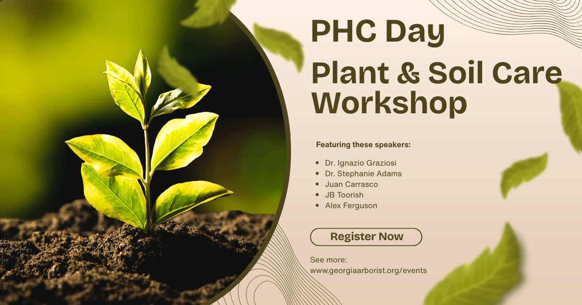 PHC Day: plant and soil care workshop