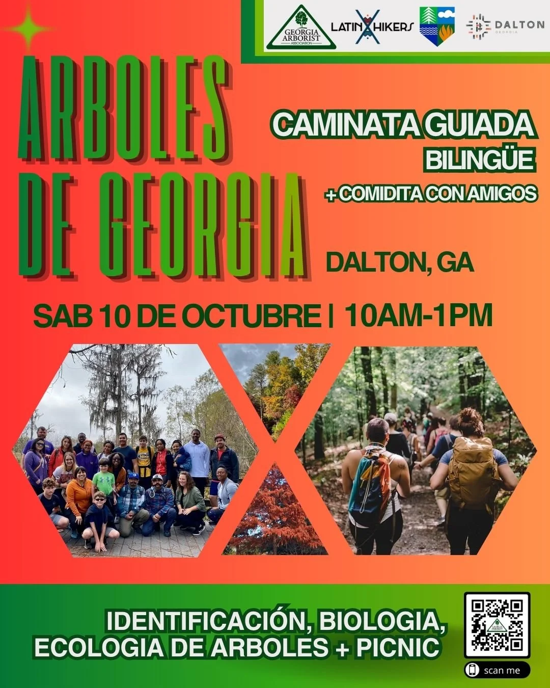 Árboles de Georgia: Caminata guiada + picnic
