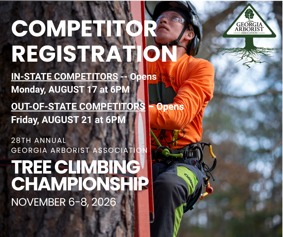 28th Annual Tree Climbing Championship (COMPETITOR)