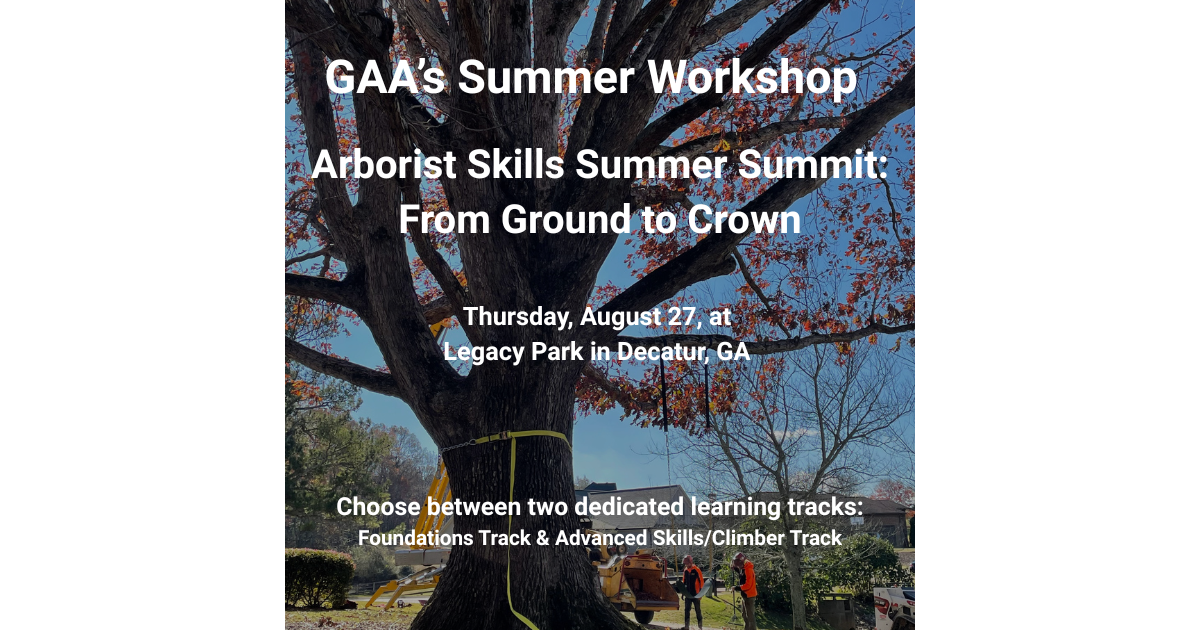 Arborist Skills Summer Summit: From Ground to Crown 