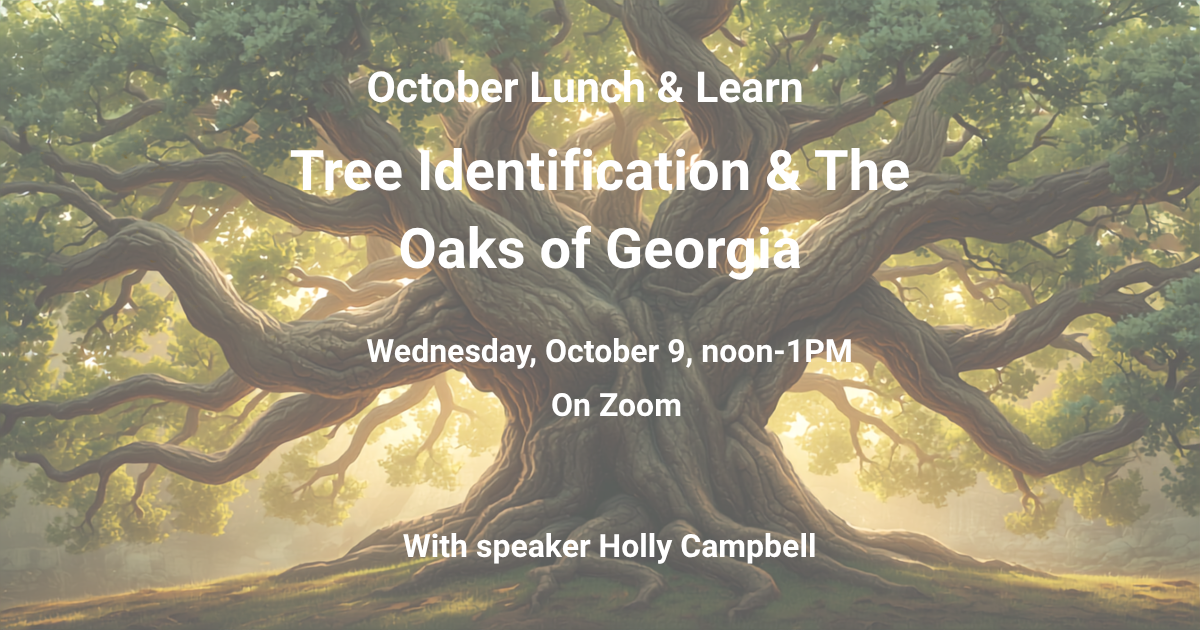 October Lunch and Learn: Tree Identification & The Oaks of Georgia