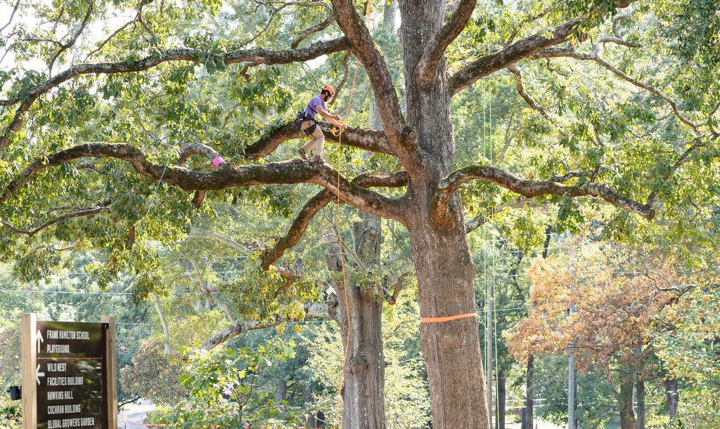 2024TreeClimbComp-168.jpg