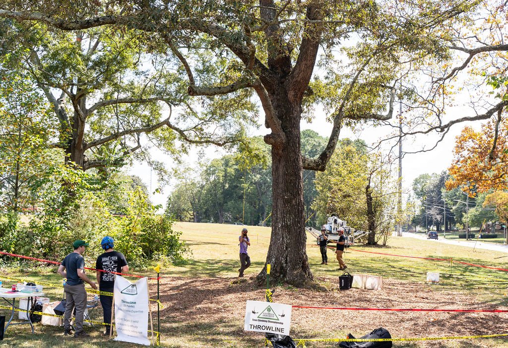 2024TreeClimbComp-010.jpg