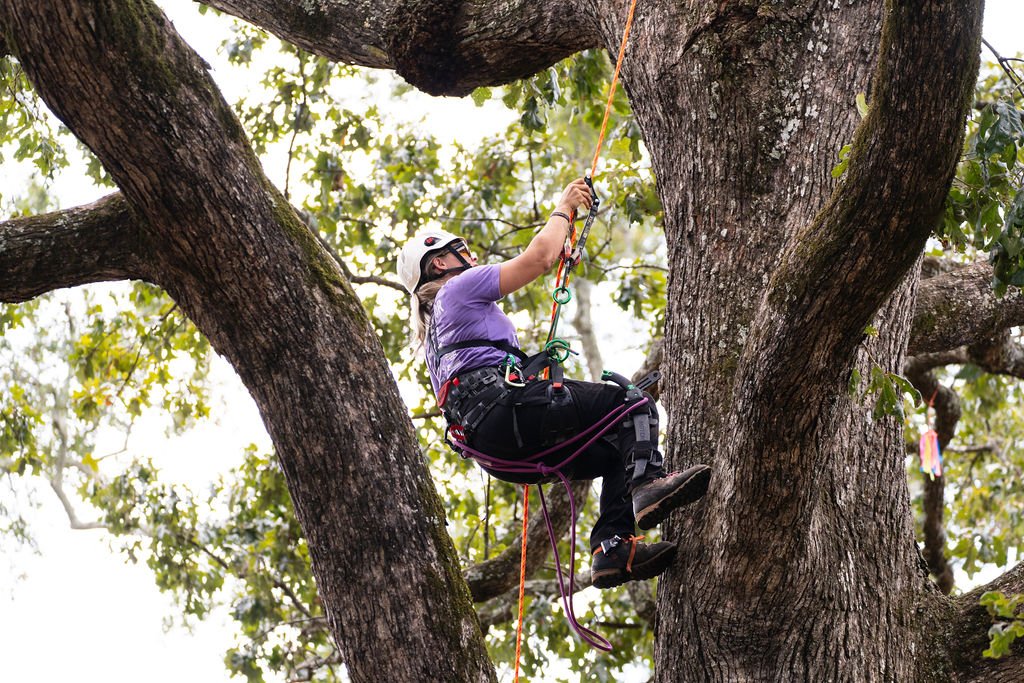 2024TreeClimbComp-012.jpg
