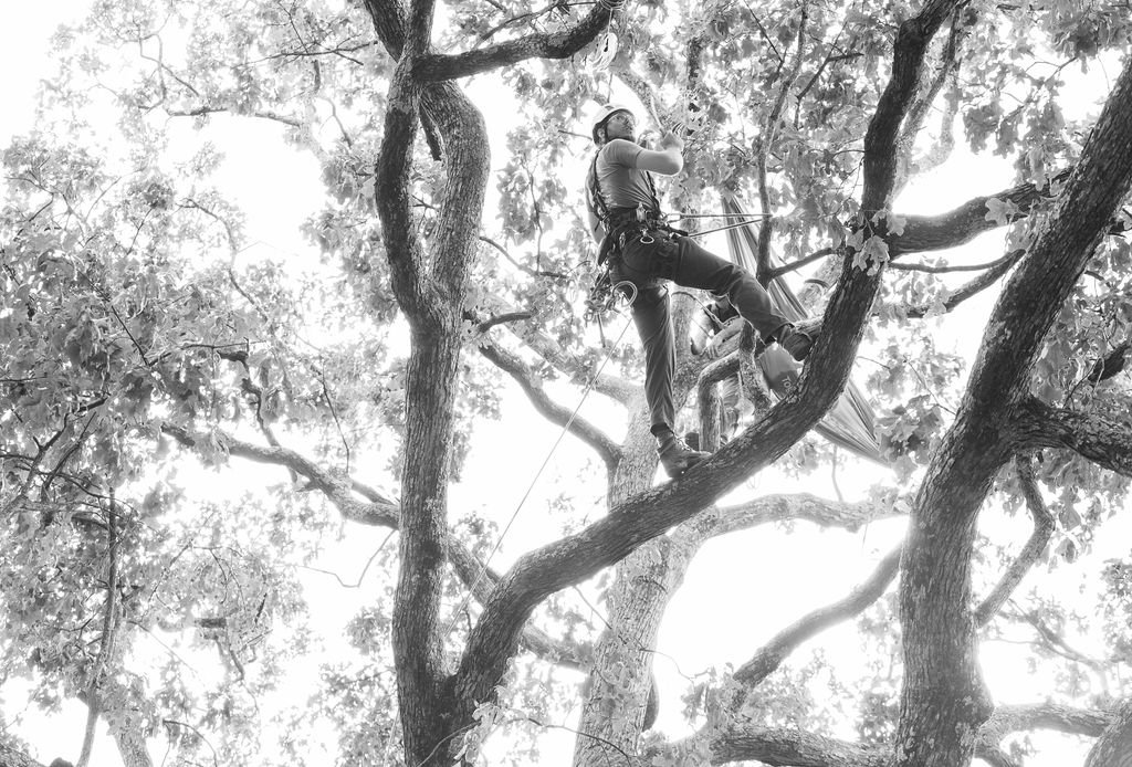 2024TreeClimbComp-114.jpg