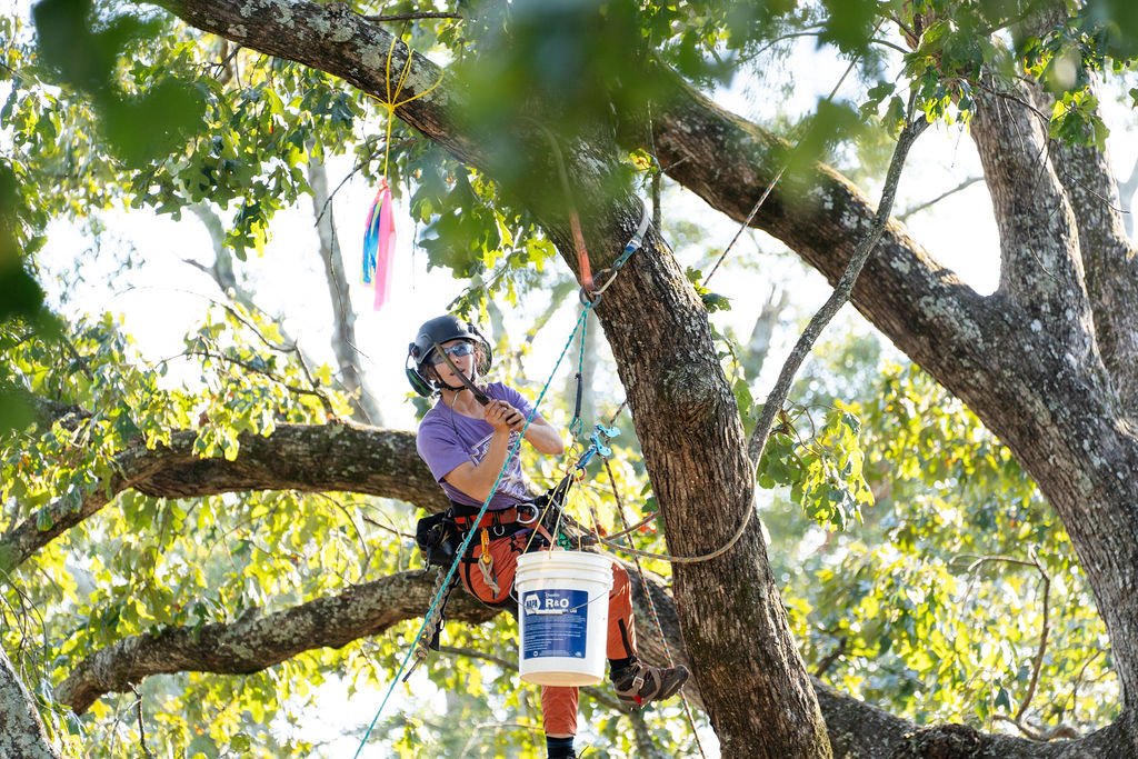 2024TreeClimbComp-206.jpg