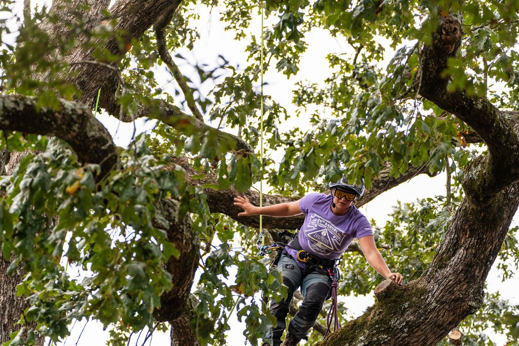 2024TreeClimbComp-024.jpg
