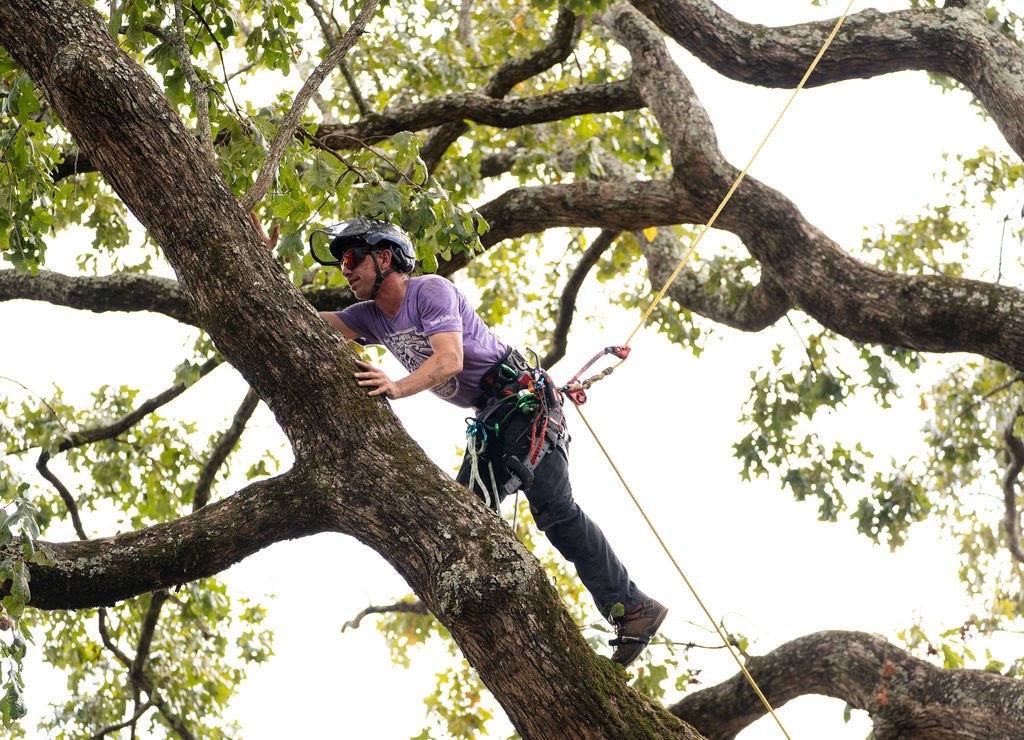 2024TreeClimbComp-106.jpg