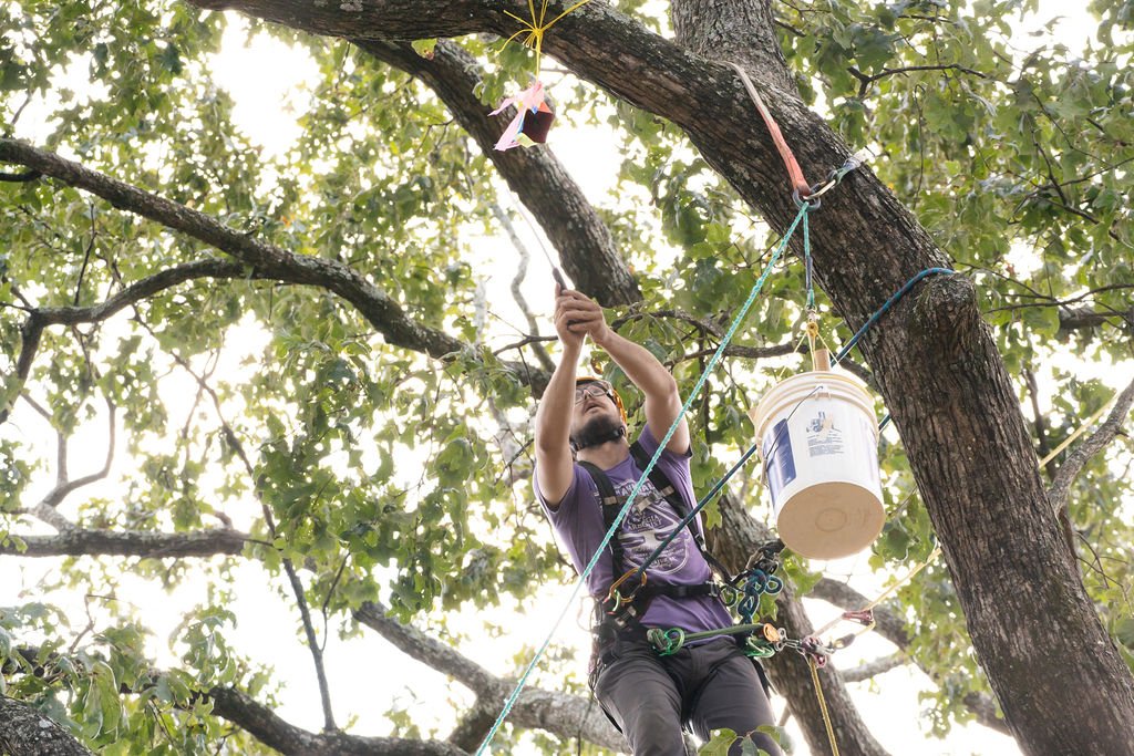 2024TreeClimbComp-115.jpg