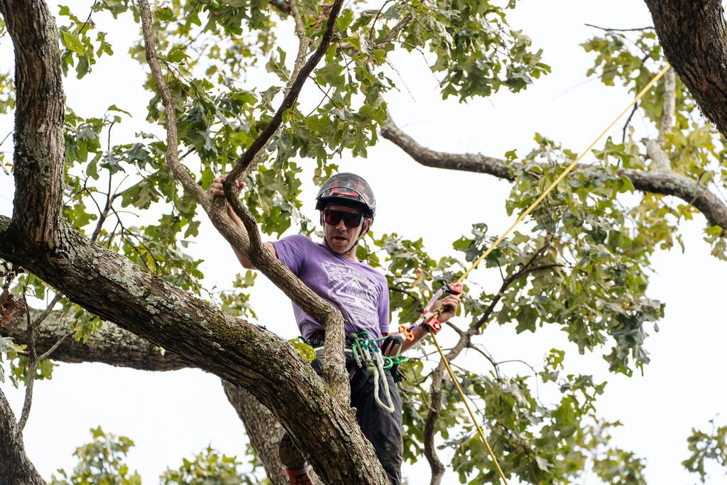 2024TreeClimbComp-101.jpg