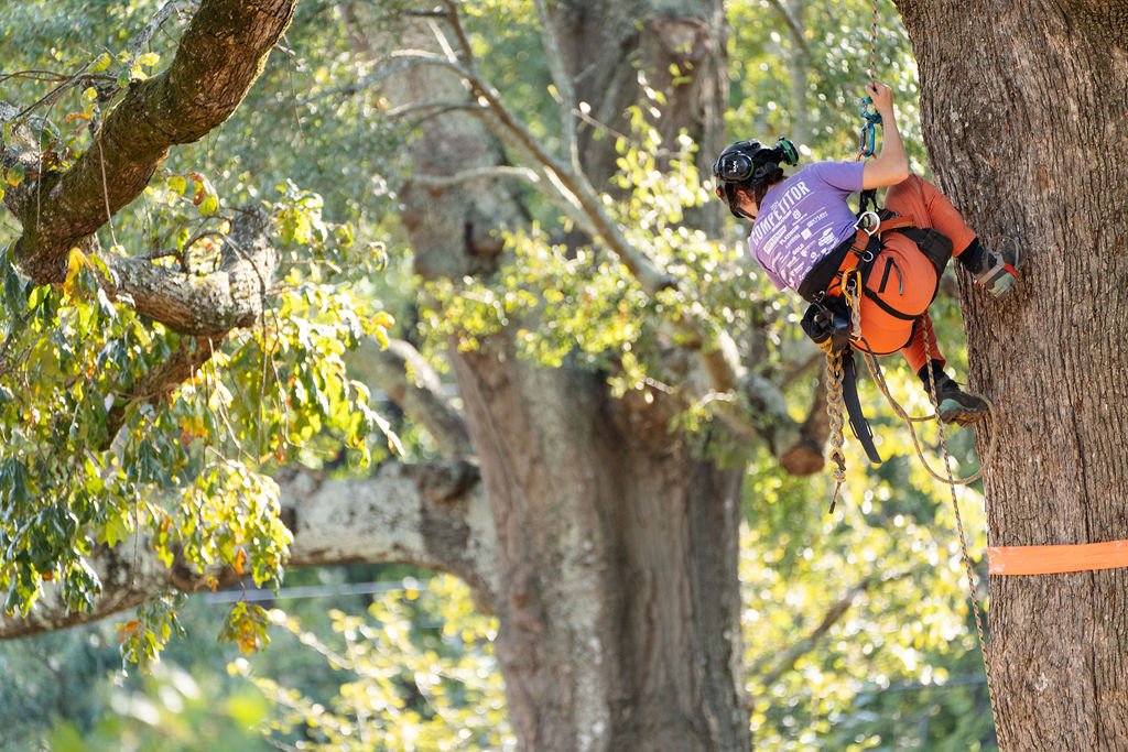 2024TreeClimbComp-210.jpg