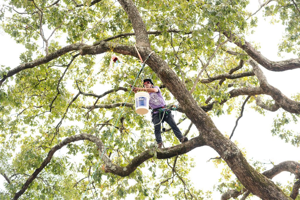 2024TreeClimbComp-107.jpg