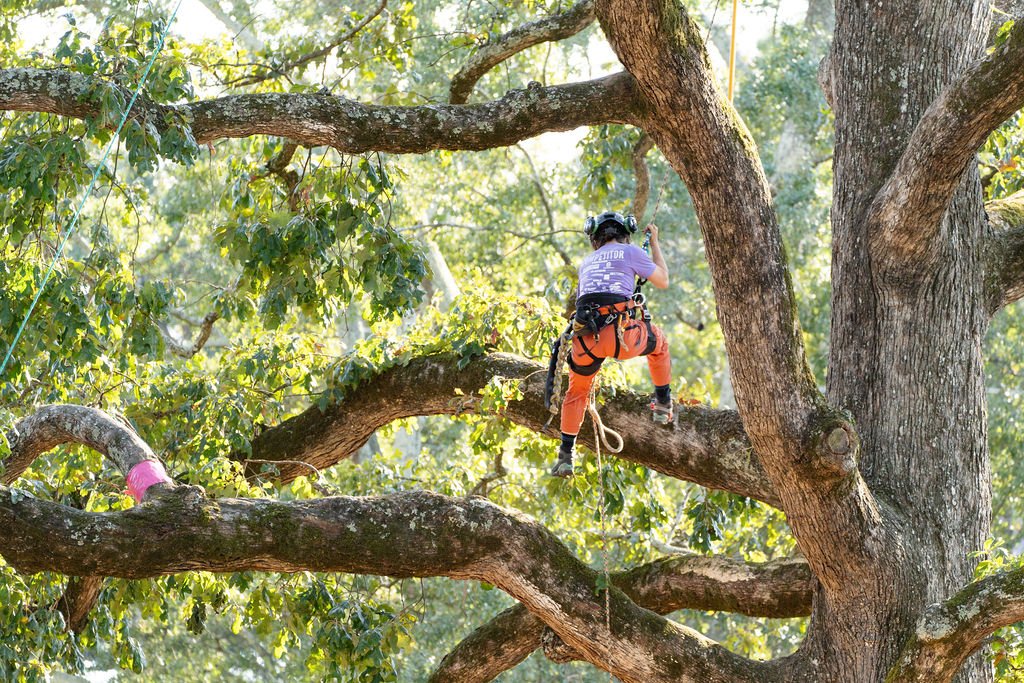 2024TreeClimbComp-207.jpg