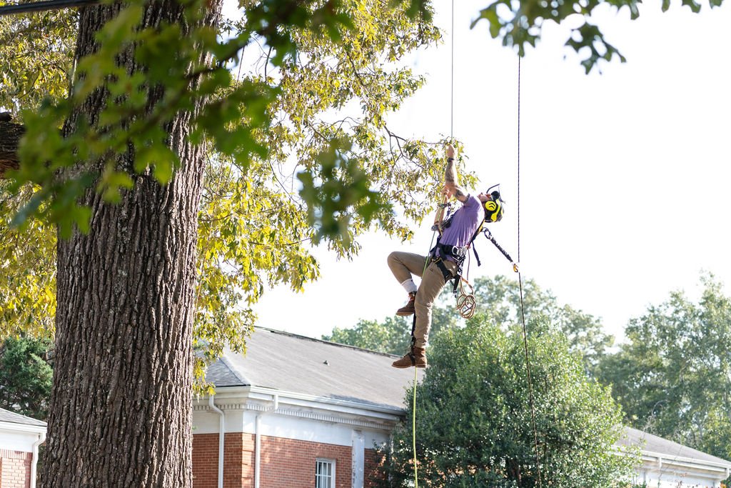 2024TreeClimbComp-215.jpg