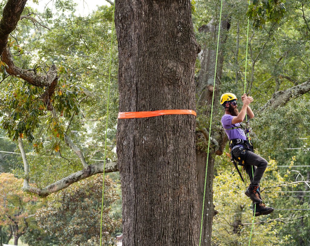 2024TreeClimbComp-018.jpg