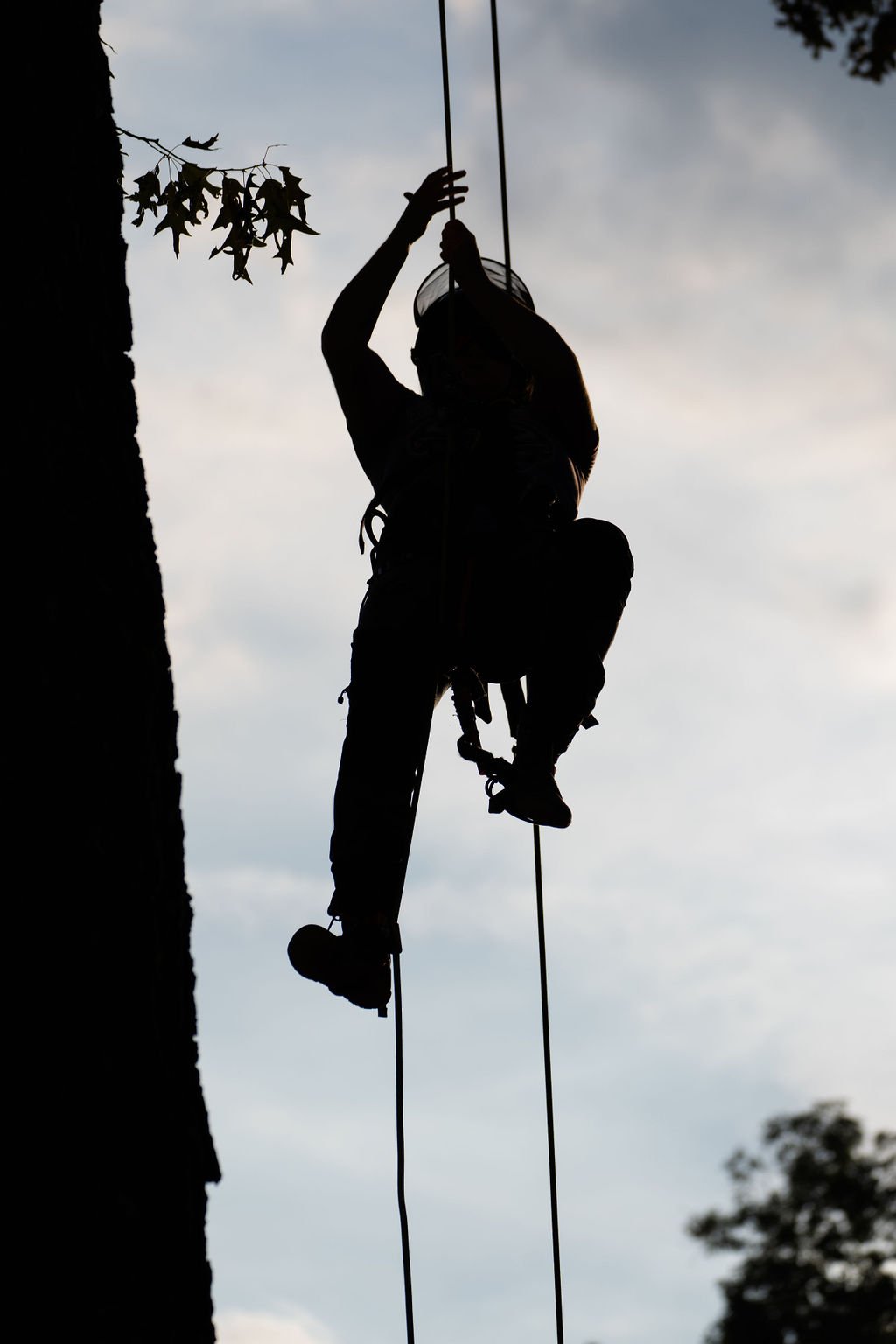 2024TreeClimbComp-248.jpg