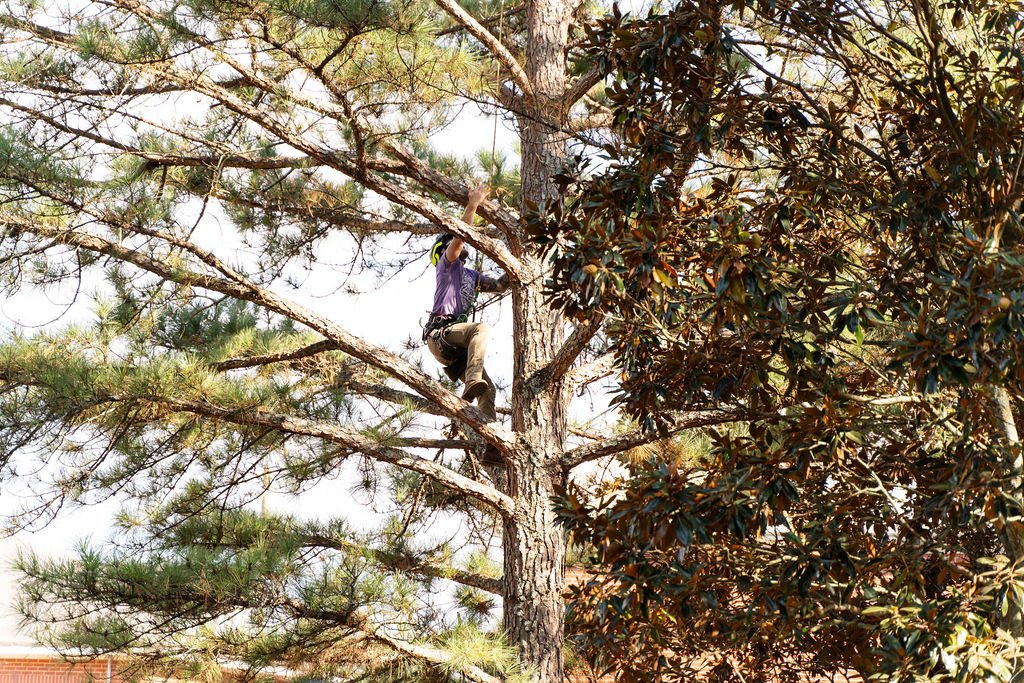 2024TreeClimbComp-179.jpg