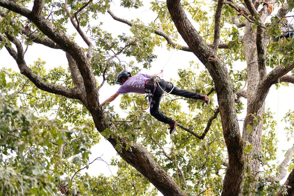 2024TreeClimbComp-100.jpg