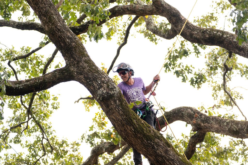 2024TreeClimbComp-105.jpg