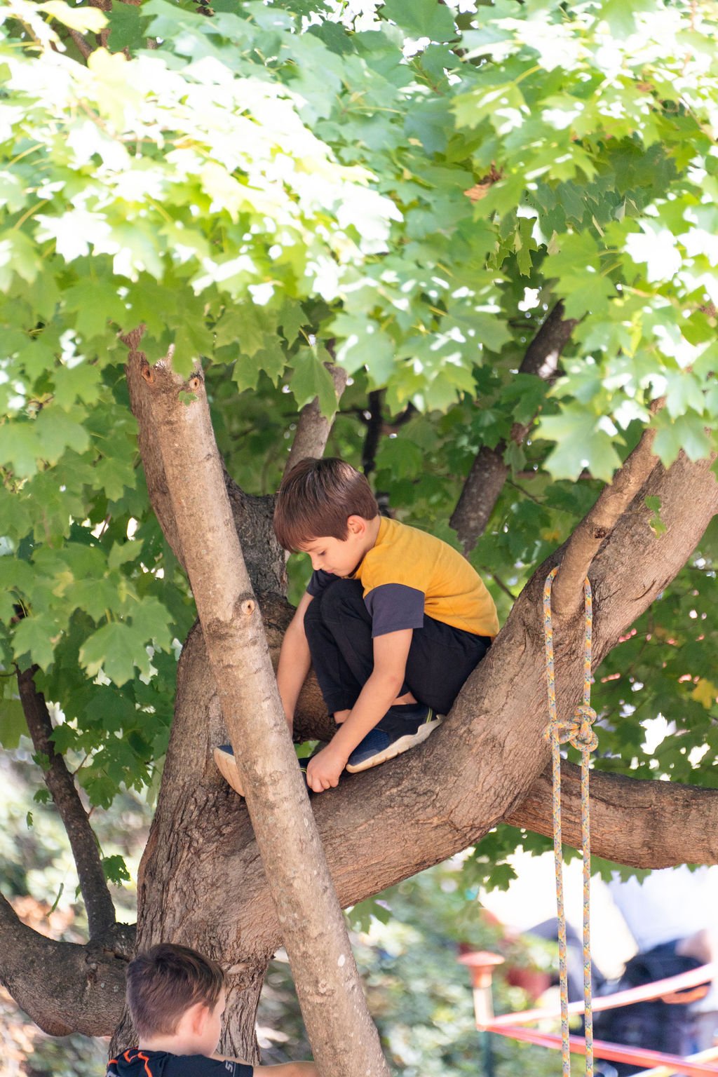 2024TreeClimbComp-144.jpg
