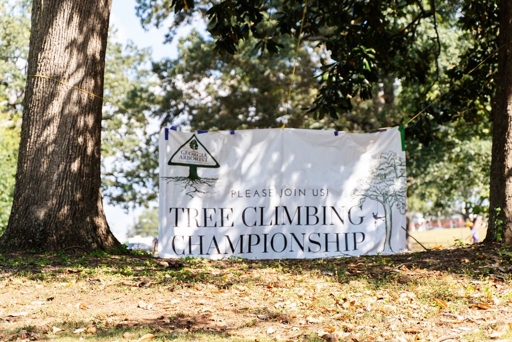 2024TreeClimbComp-143.jpg