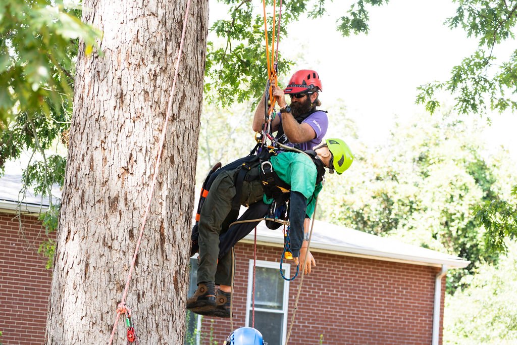 2024TreeClimbComp-057.jpg