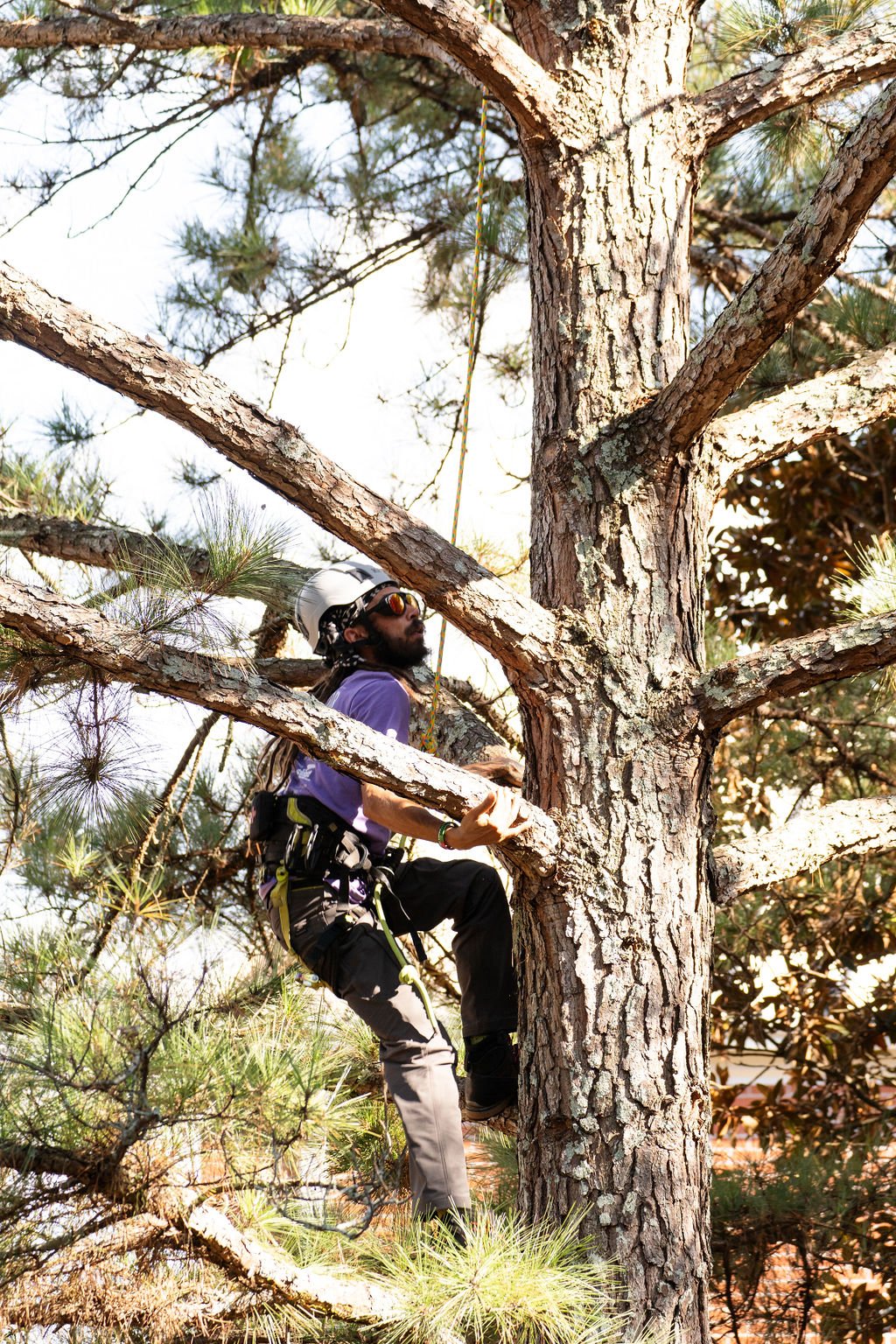 2024TreeClimbComp-175.jpg