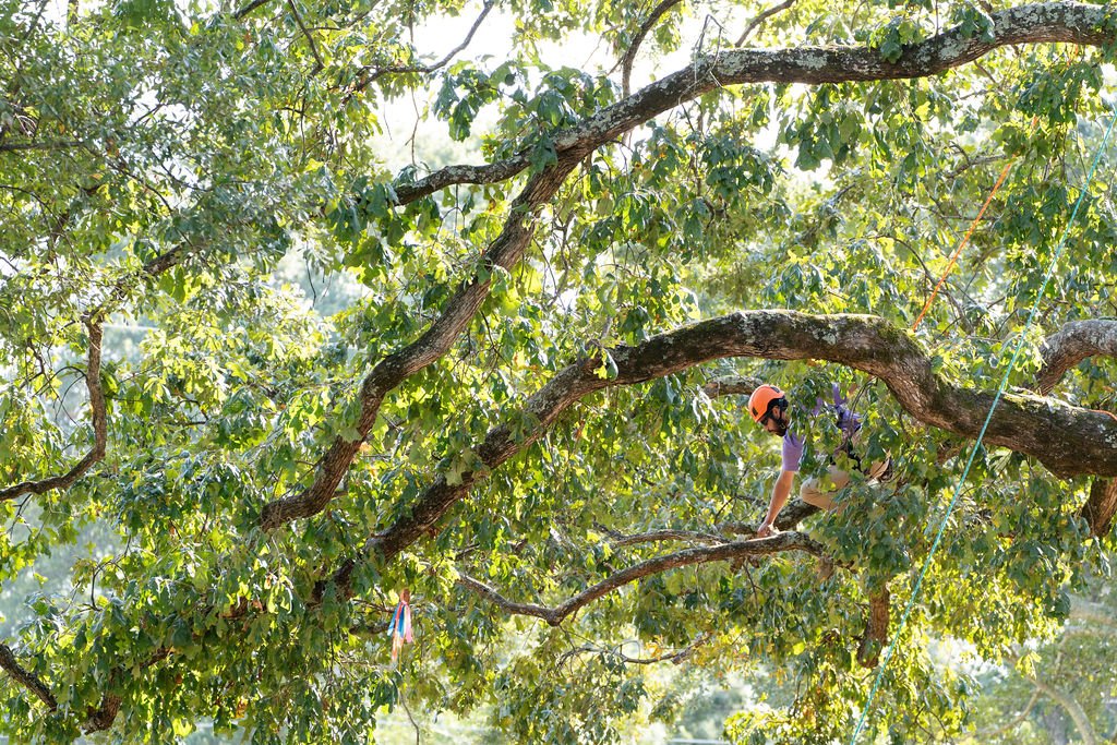 2024TreeClimbComp-167.jpg
