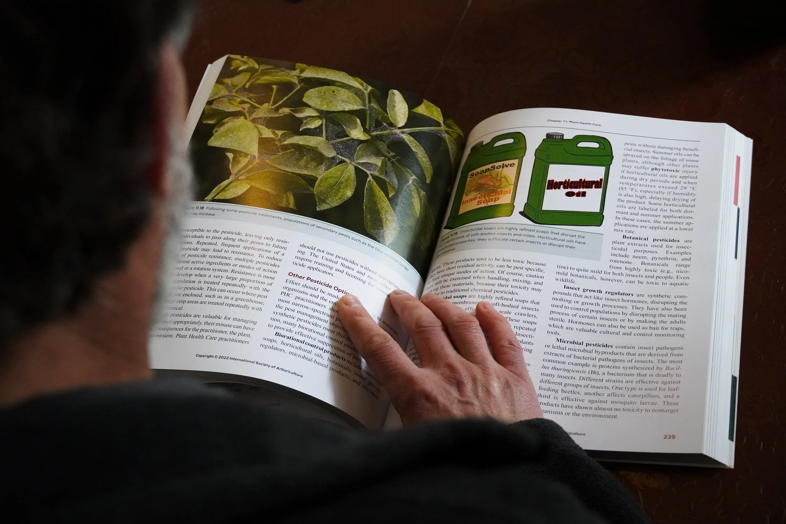 Become a Certified Arborist — Georgia Arborist Association