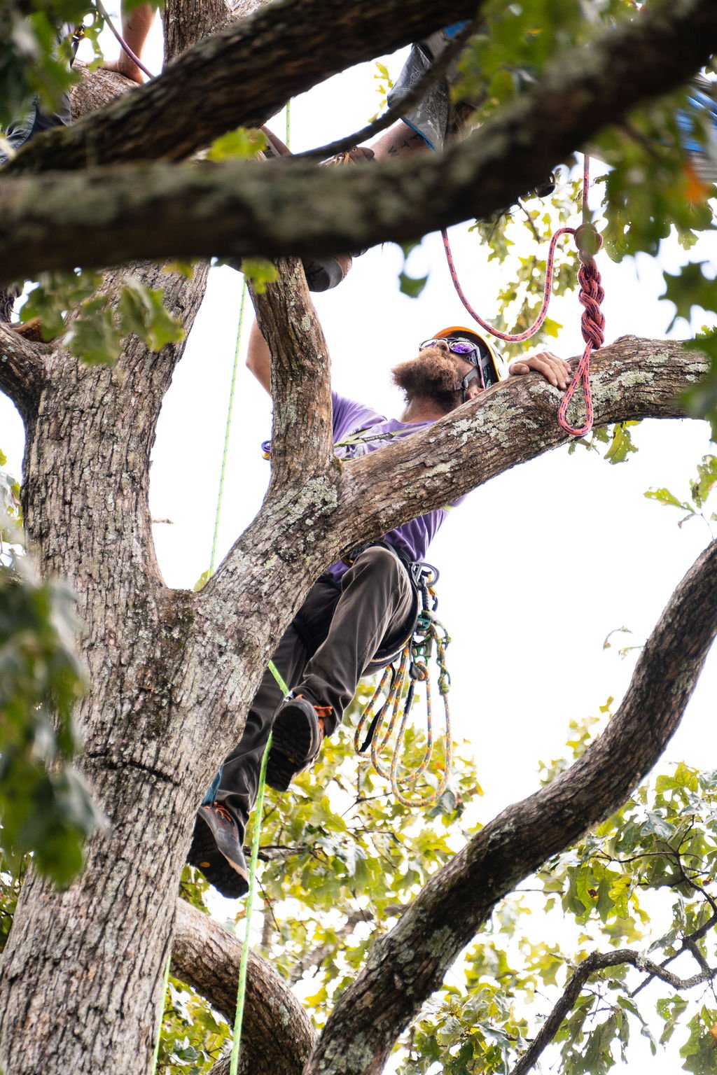 2024TreeClimbComp-019.jpg
