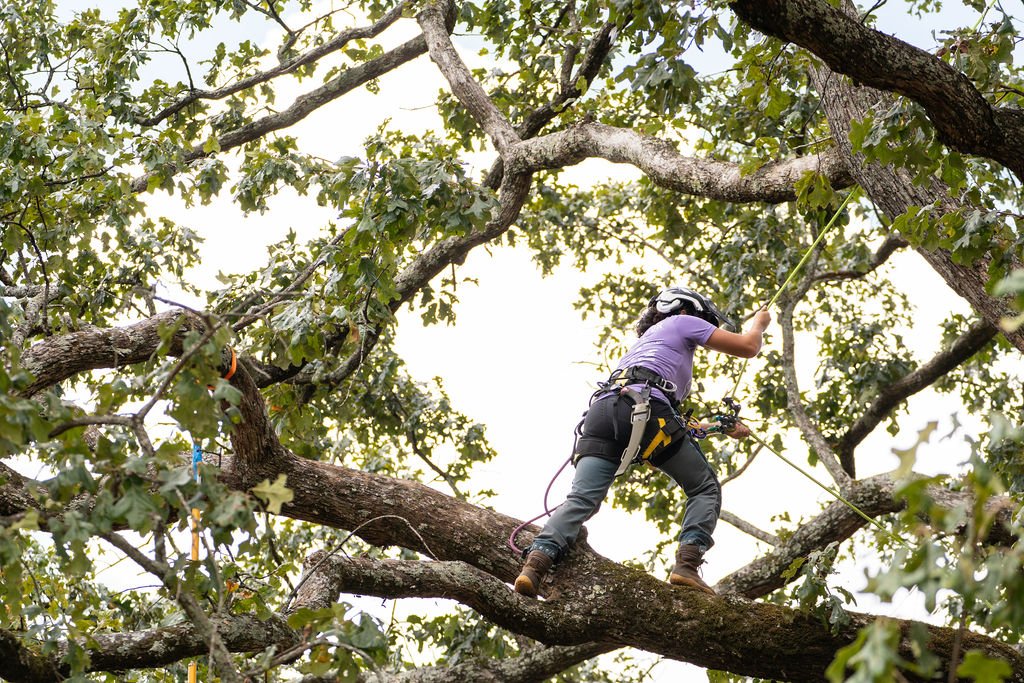 2024TreeClimbComp-023.jpg
