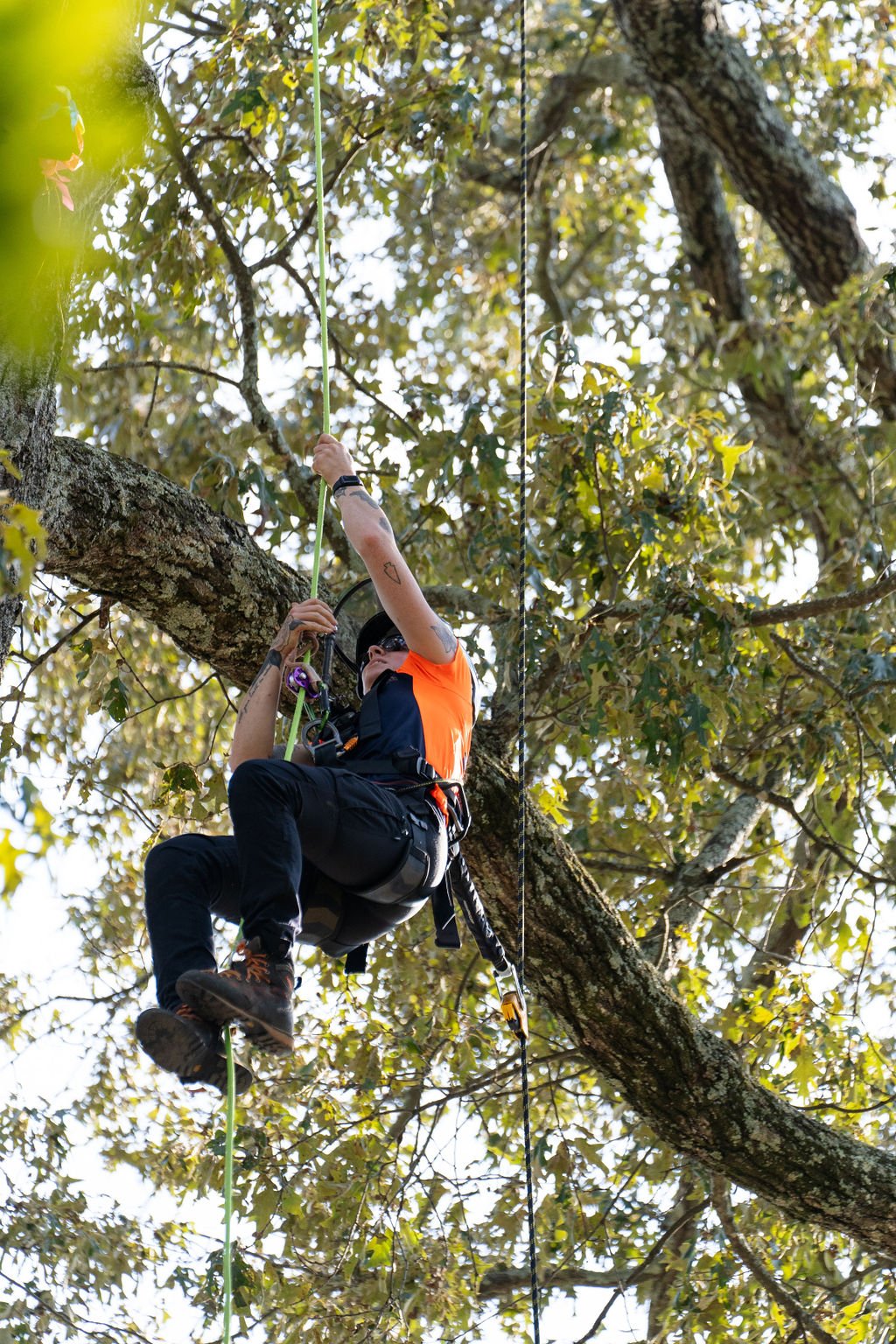 2024TreeClimbComp-220.jpg