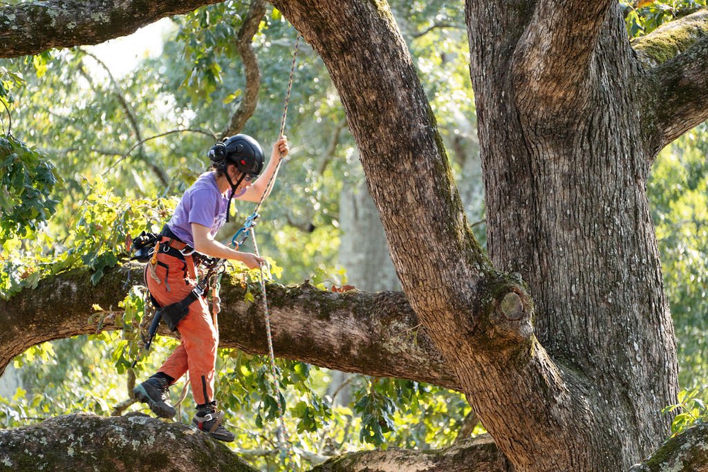 2024TreeClimbComp-209.jpg