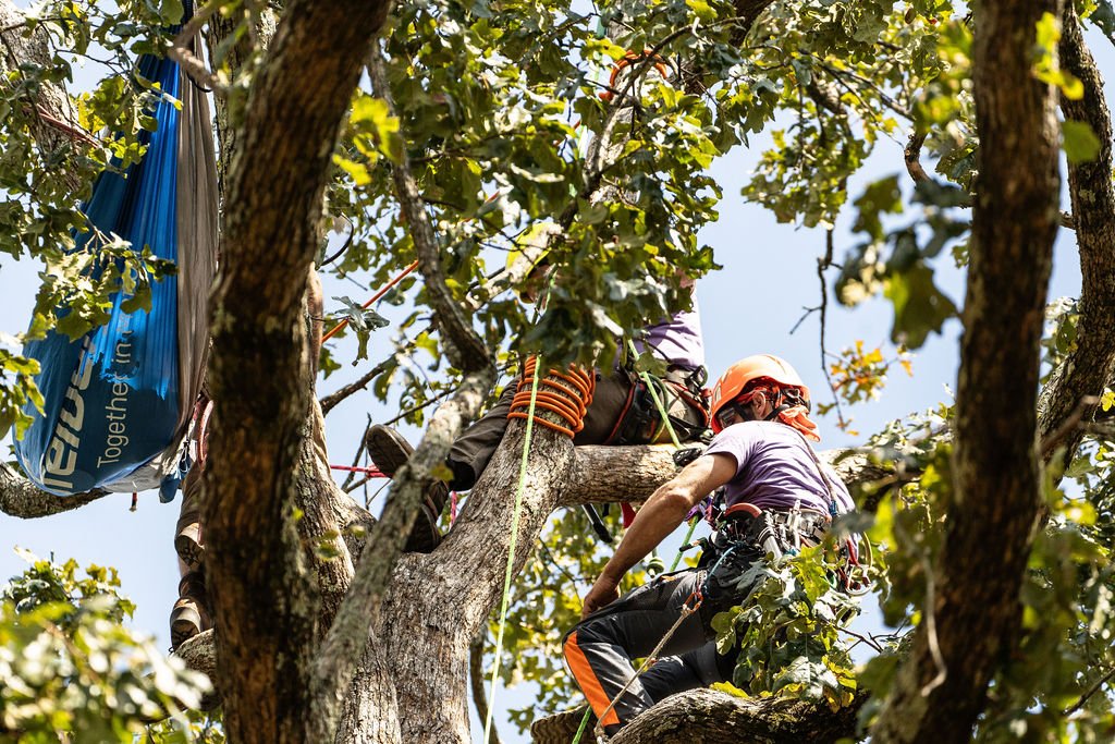 2024TreeClimbComp-073.jpg