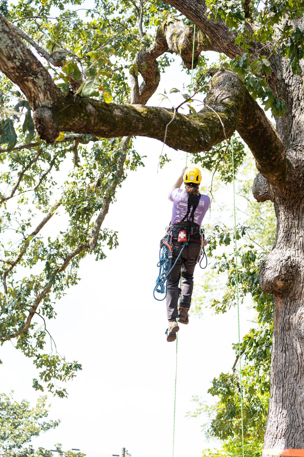 2024TreeClimbComp-096.jpg