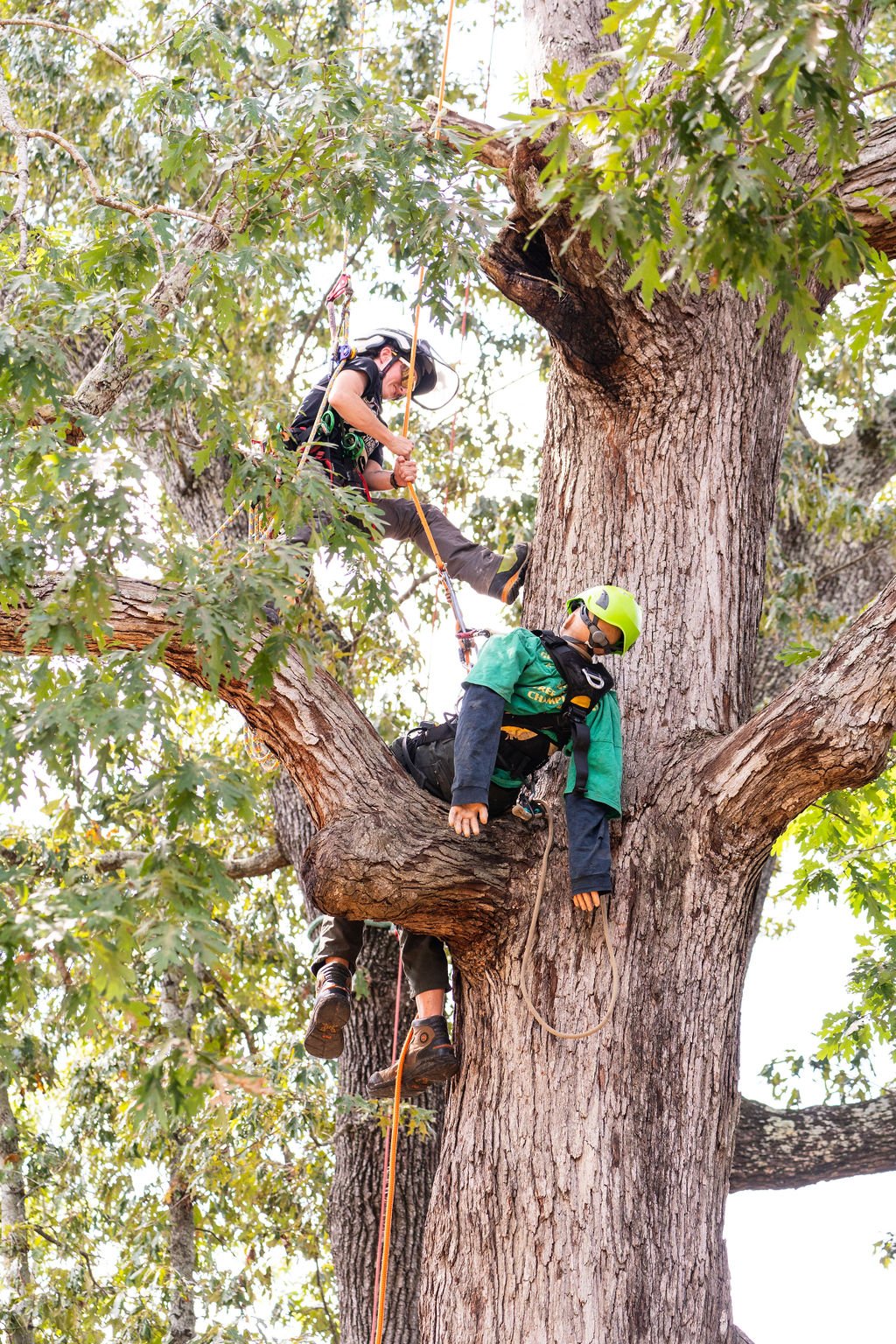 2024TreeClimbComp-030.jpg