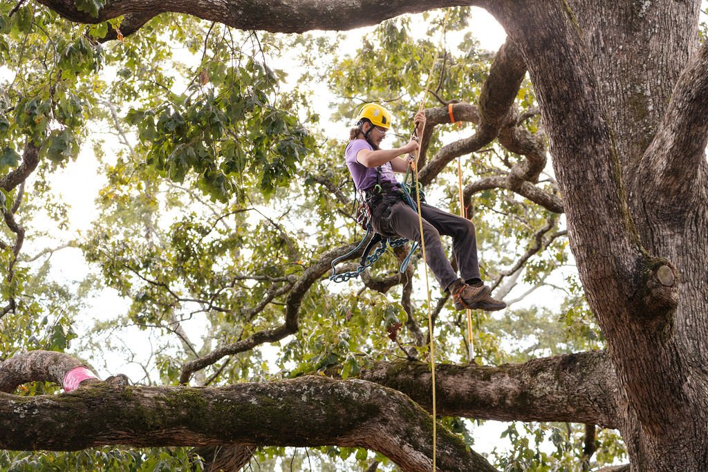 2024TreeClimbComp-117.jpg