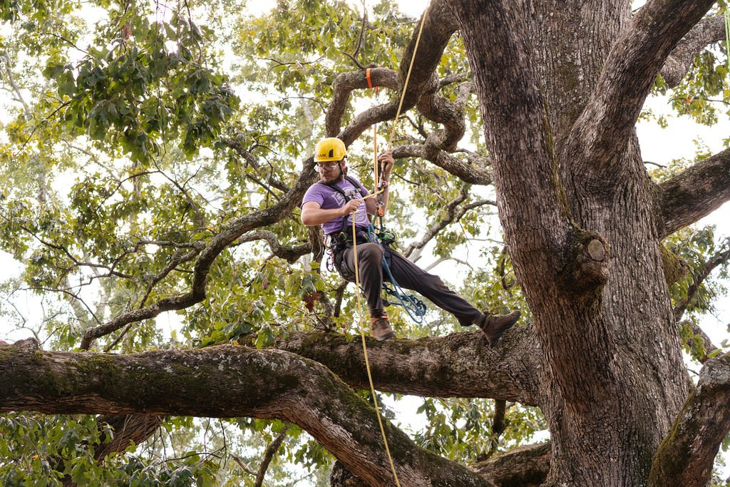 2024TreeClimbComp-118.jpg