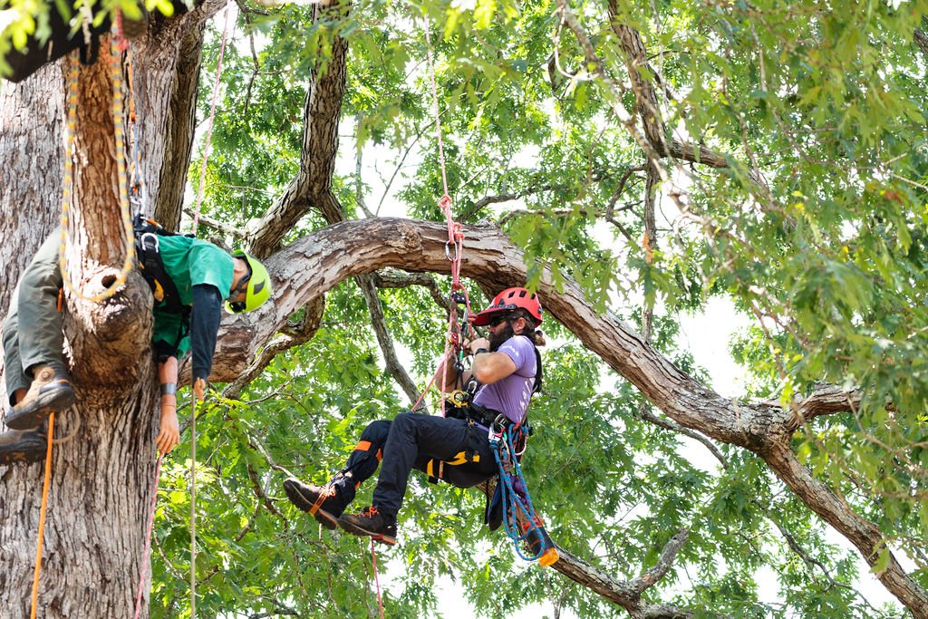 2024TreeClimbComp-055.jpg
