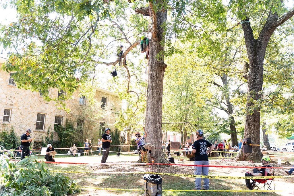 2024TreeClimbComp-004.jpg