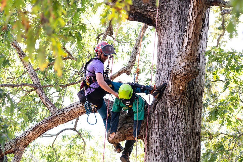 2024TreeClimbComp-042.jpg