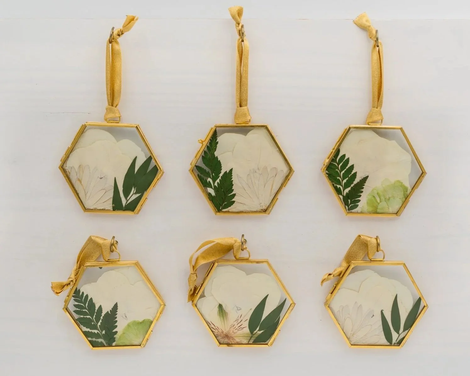 Six hexagonal frames with glass fronts, hanging on a white wall with yellow ribbons, each containing pressed flowers and green leaves.