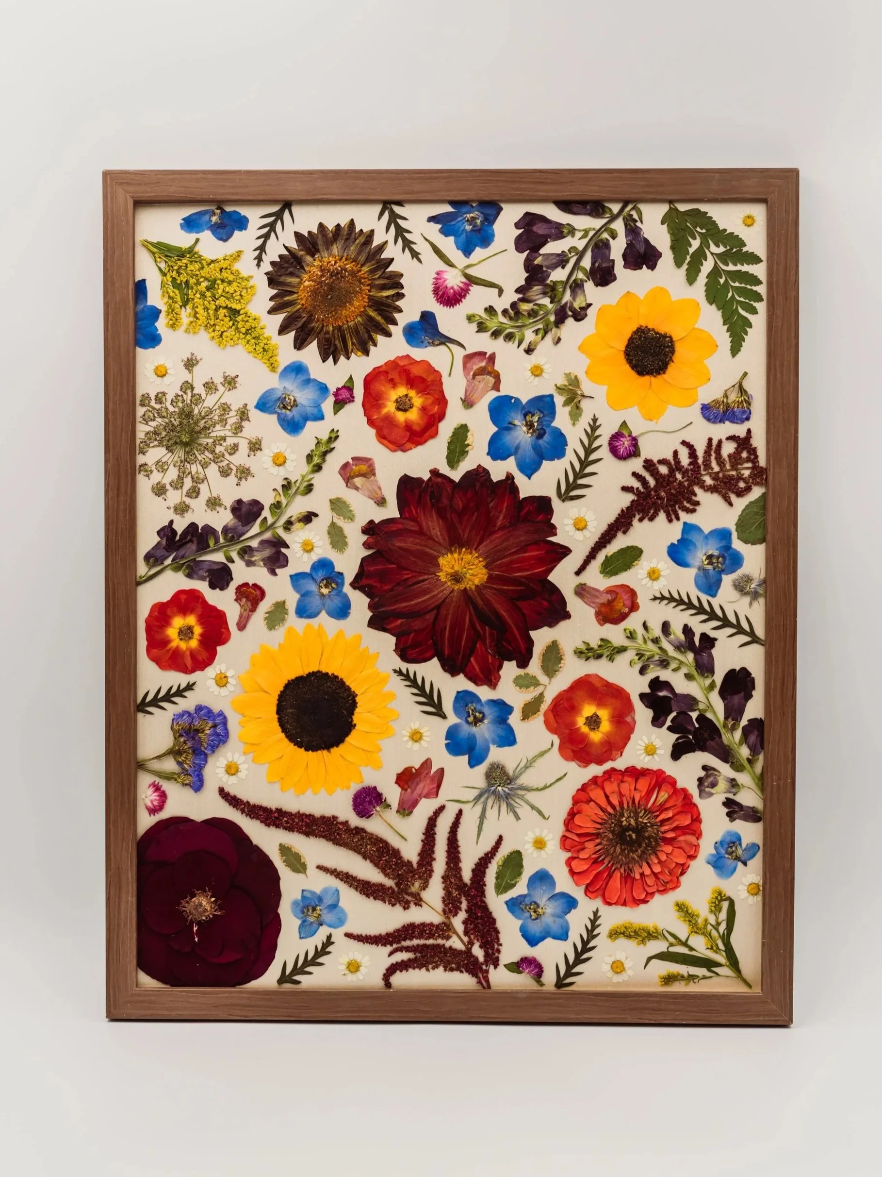 Framed art piece featuring pressed and dried flowers arranged in a floral pattern.