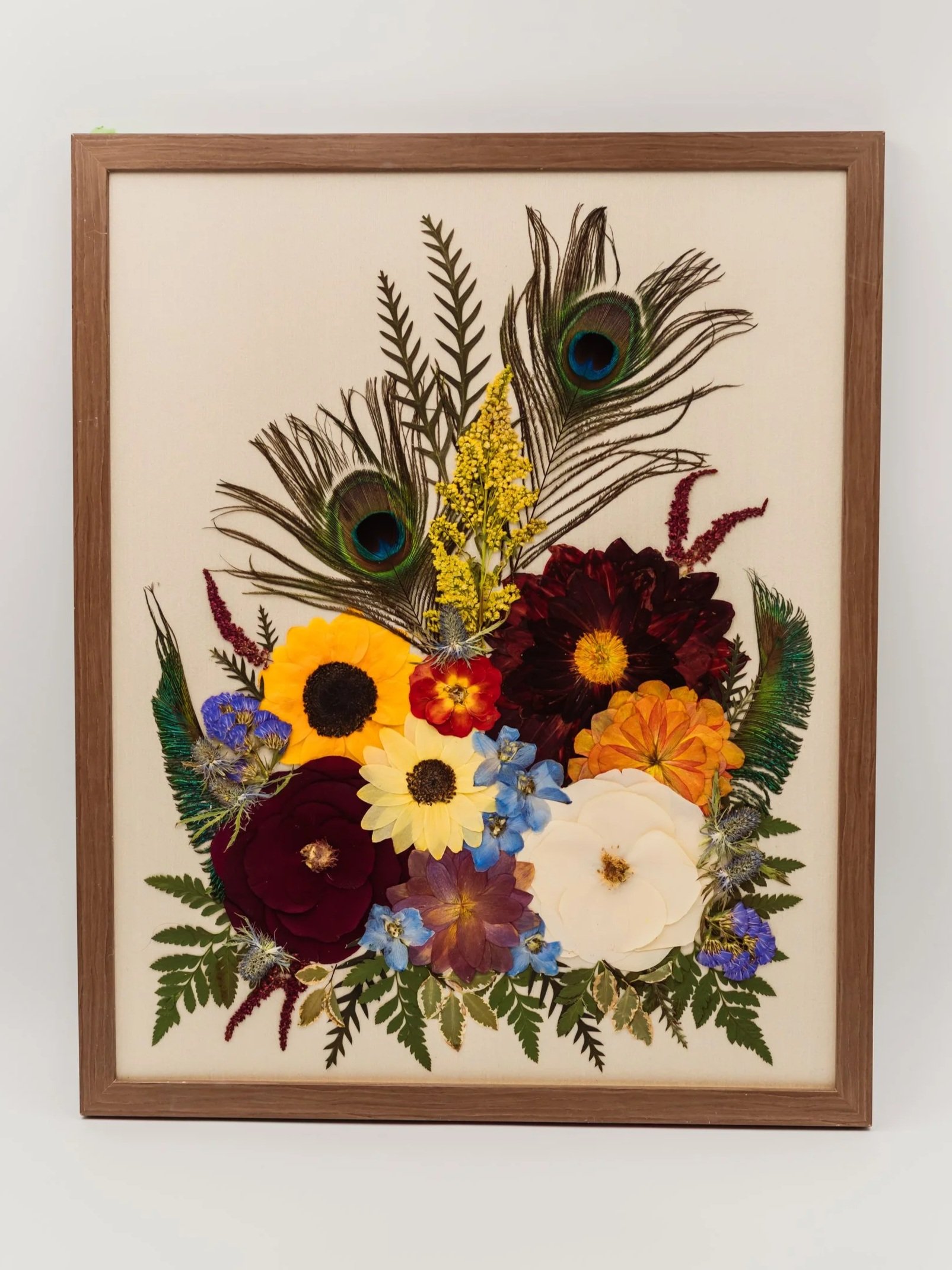 A framed artwork consisting of a collage of real flowers, leaves, and peacock feathers arranged on a white background.