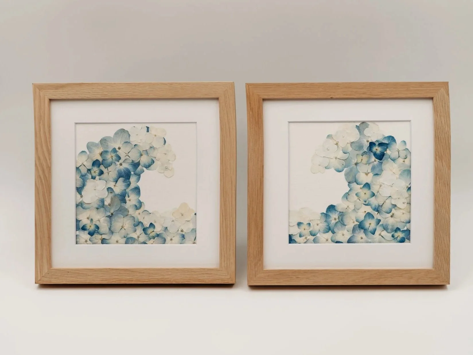 Two framed pictures of hydrangea flowers in shades of blue and white, positioned side by side on a plain wall.