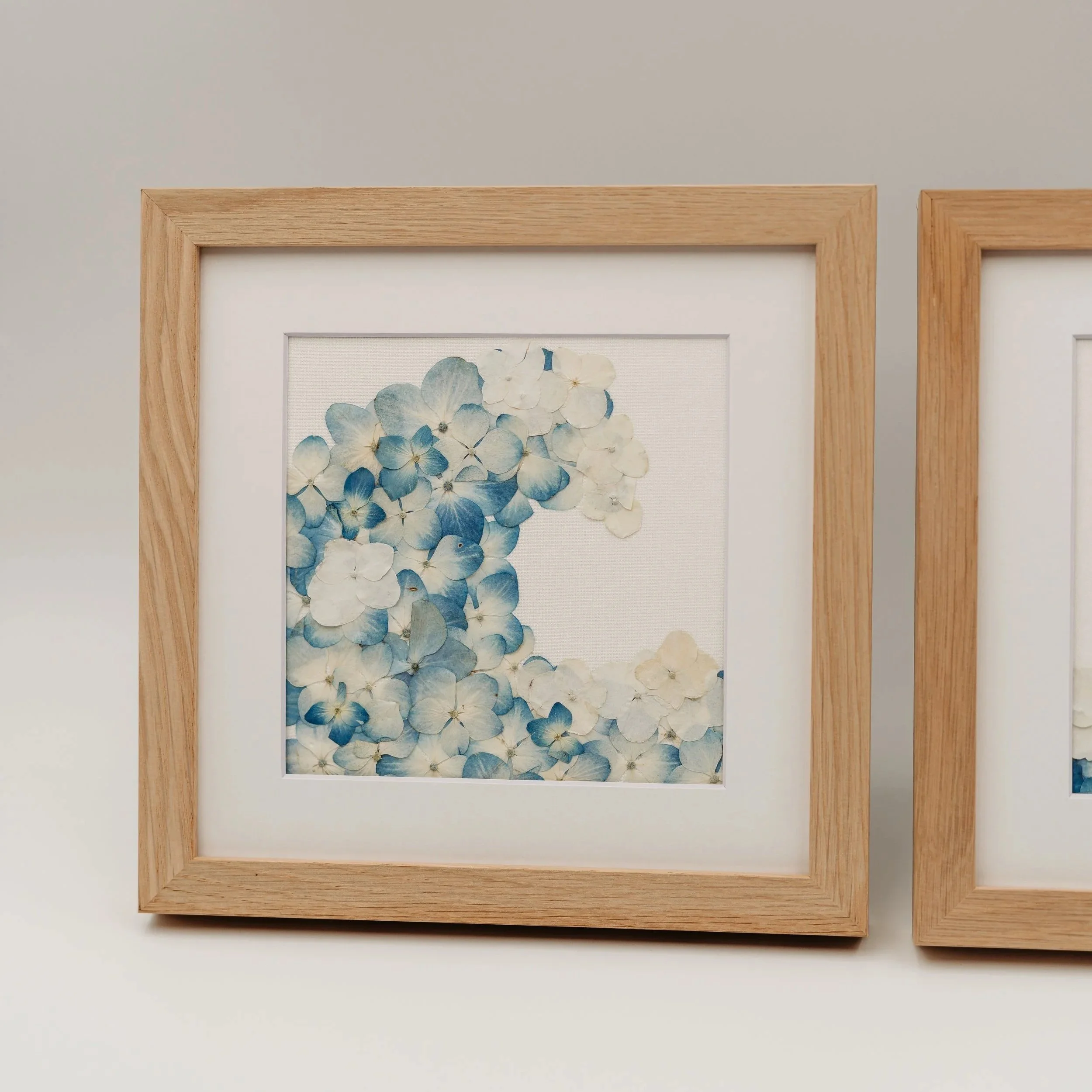 Close-up of a framed artwork featuring pressed blue and white hydrangea flowers, with a beige wooden frame on a light gray wall.